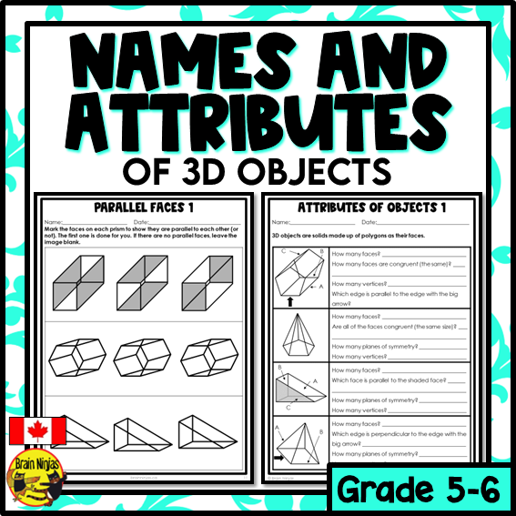Names and Attributes of 3D Objects Math Worksheets | Paper