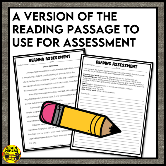 Urban Agriculture Reading Comprehension Activities | Paper and Digital