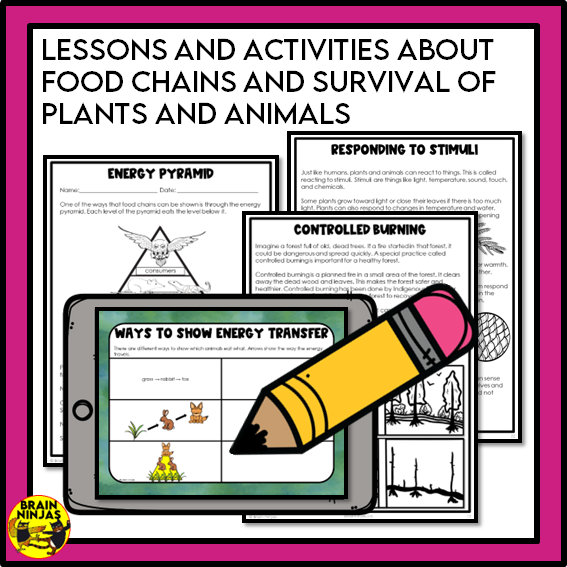 Alberta Science Grade 3 Full Year Lessons and Activities Bundle | Paper and Digital