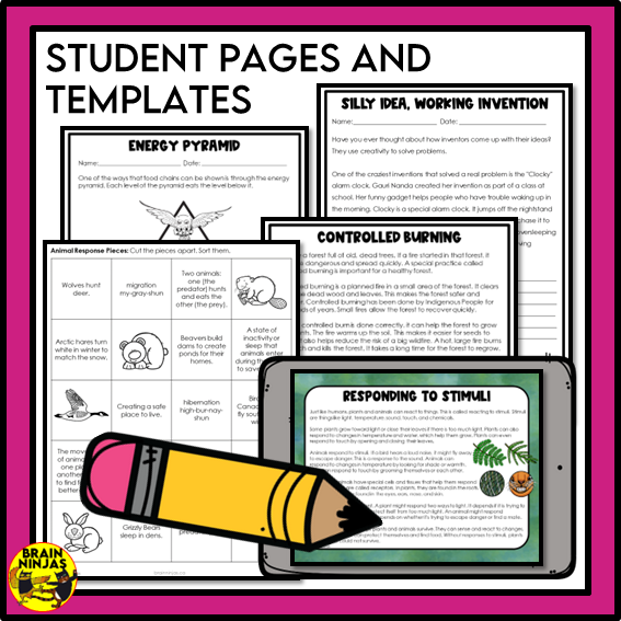 Alberta Science Grade 3 Full Year Lessons and Activities Bundle | Paper and Digital