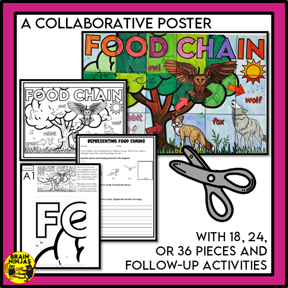 Alberta Science Grade 3 Full Year Lessons and Activities Bundle | Paper and Digital