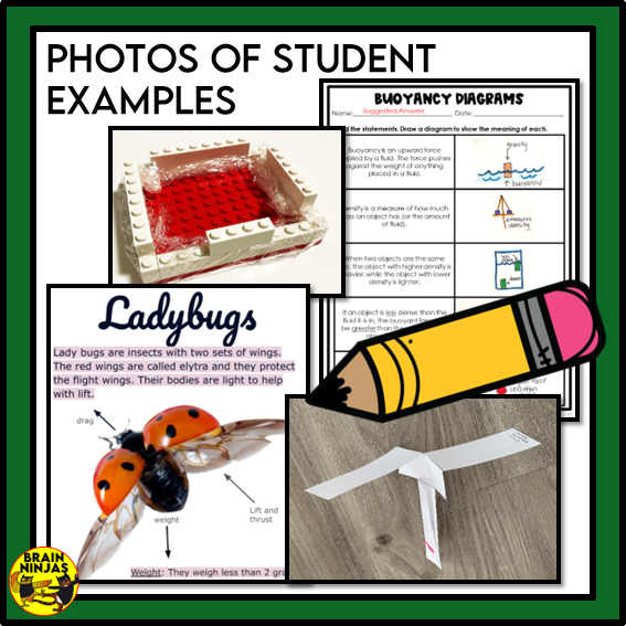 Alberta Science Energy Unit Grade 5 Bundle | Paper and Digital