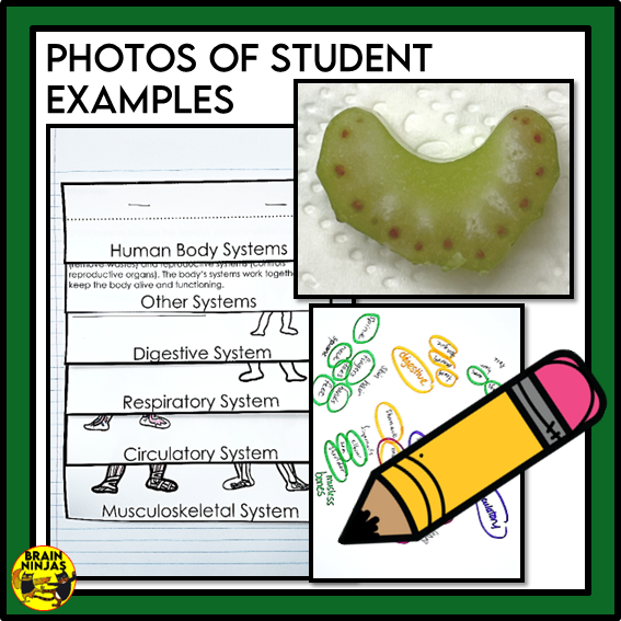 Alberta Science Living Systems Unit Grade 5 | Bundle | Paper and Digital