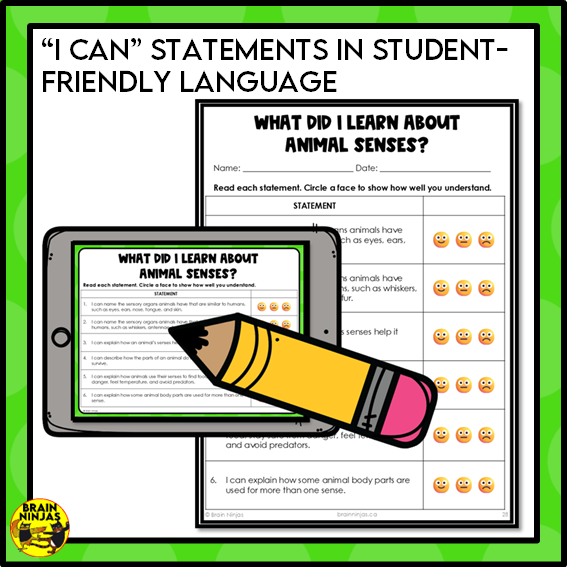 Animal Senses Lesson and Activities | Digital and Paper