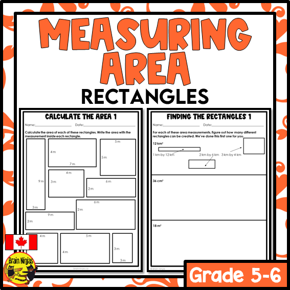 Area of Rectangles with Metric Measurements Math Worksheets | Paper