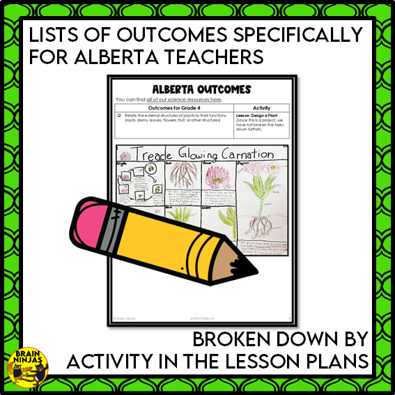 Design a Plant Creative Thinking Activity | Paper and Digital