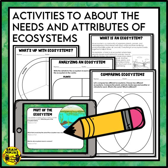 Ecosystem Attributes Lessons and Activities | Paper and Digital