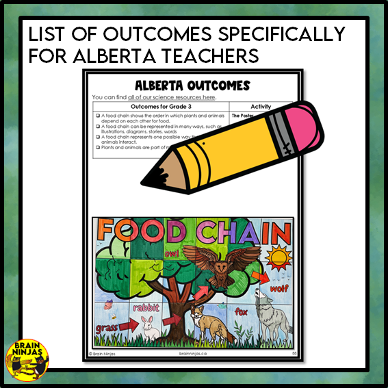 Food Chains Collaborative Poster Colouring Activity | Paper