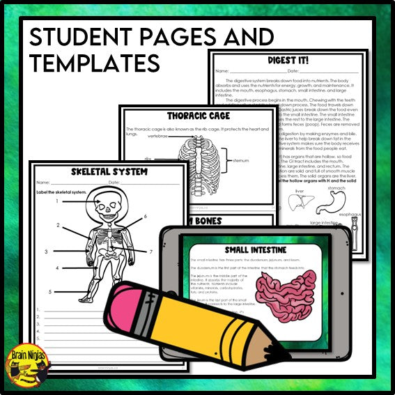 Human Body Systems Unit Bundle | Biological Systems | Paper and Digital