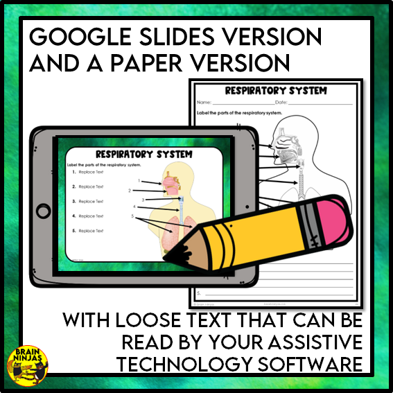 Human Body Systems Lessons and Activities | Musculoskeletal Circulatory Respiratory Digestive | Digital and Paper