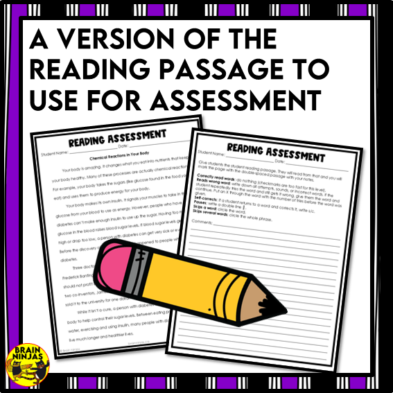 Insulin Reading Comprehension Activities | Paper and Digital