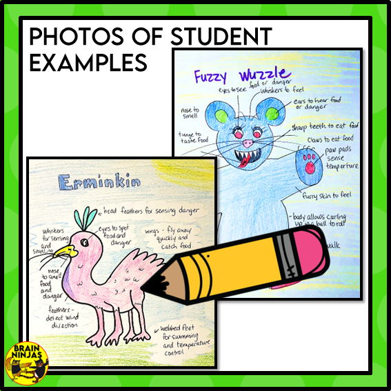 Living Organisms Structures and Functions Lesson and Activities | Digital and Paper