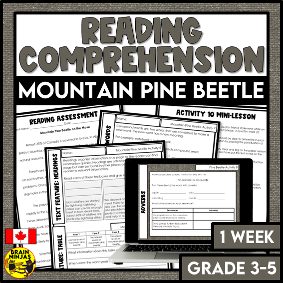 Mountain Pine Beetle Reading Comprehension Activities | Paper and Digital