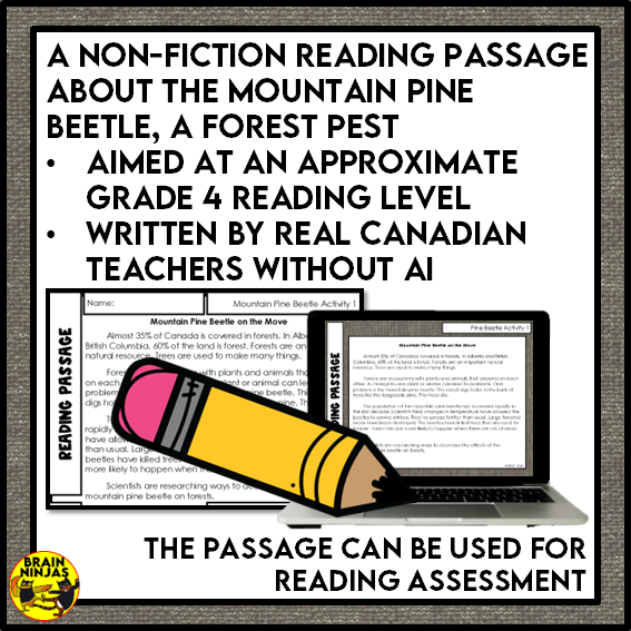 Mountain Pine Beetle Reading Comprehension Activities | Paper and Digital