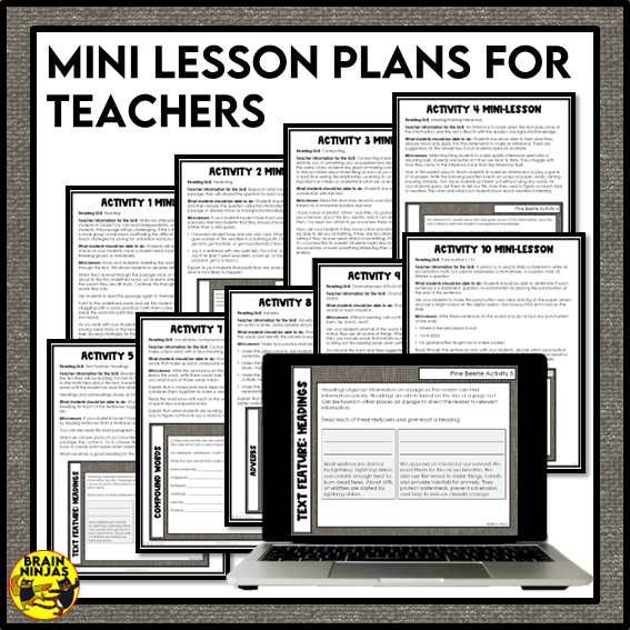 Mountain Pine Beetle Reading Comprehension Activities | Paper and Digital