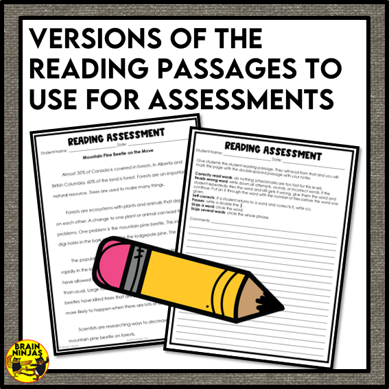Natural Resources Social Studies Reading Comprehension Activities | Paper and Digital