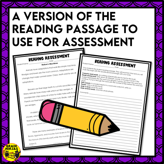 Nature's Tools Reading Comprehension Activities | Paper and Digital