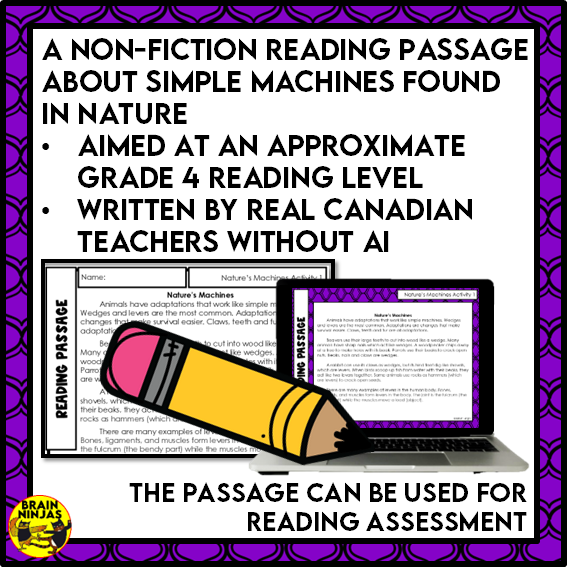 Nature's Tools Reading Comprehension Activities | Paper and Digital