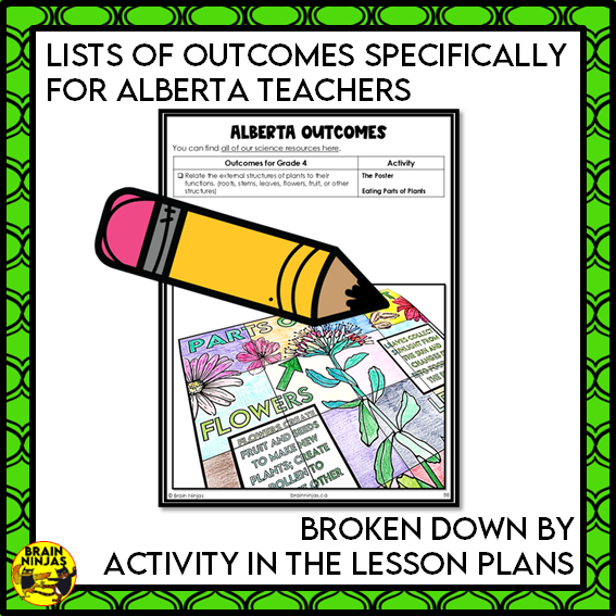 Parts of Plants Collaborative Poster Colouring Activity Living Systems | Paper