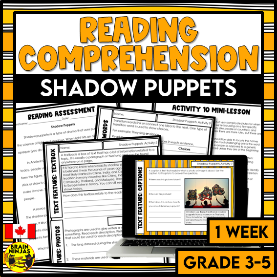 Shadow Puppets Reading Comprehension Activities | Paper and Digital