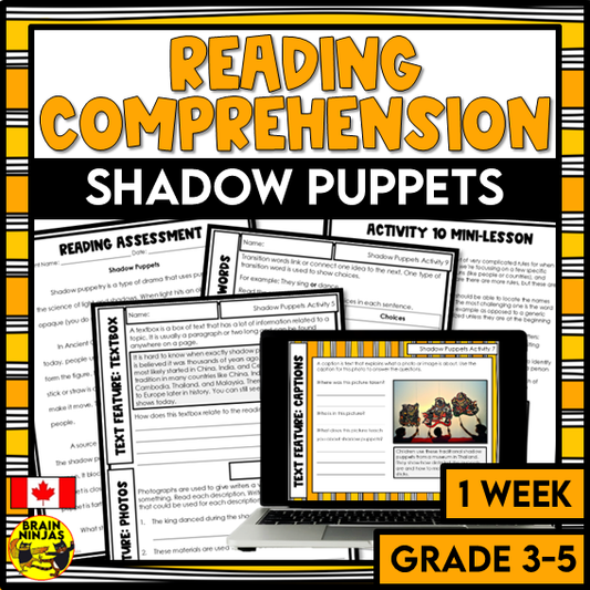 Shadow Puppets Reading Comprehension Activities | Paper and Digital