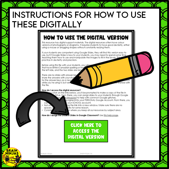St. Patrick's Day Logic Puzzles | Paper and Digital