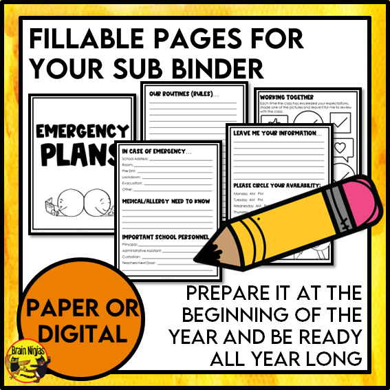 Emergency Sub Plans | Video Games | Paper | Grade 3 Grade 4