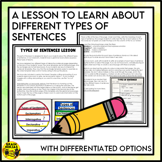 Types of Sentences Identifying and Punctuating | Paper and Digital