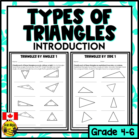 Types of Triangles Introduction Math Worksheets | Paper