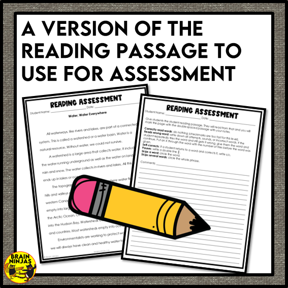 Watersheds Reading Comprehension Activities | Paper and Digital