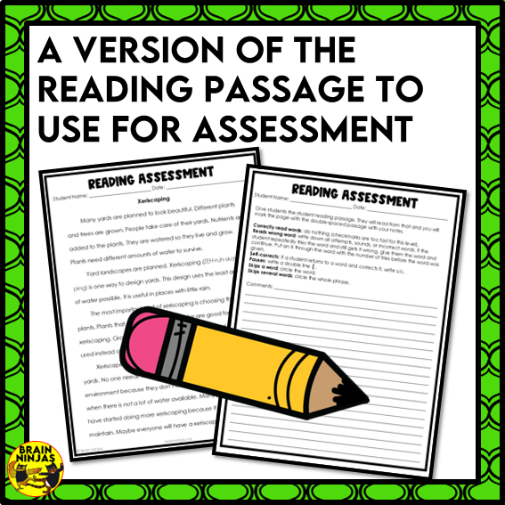 Xeriscaping Reading Comprehension Activities | Paper and Digital