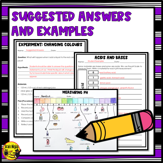 Chemistry Lessons Acids and Bases | Paper and Digital