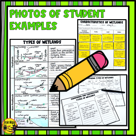 Wetlands Descriptions, Characteristics and Types | Paper and Digital