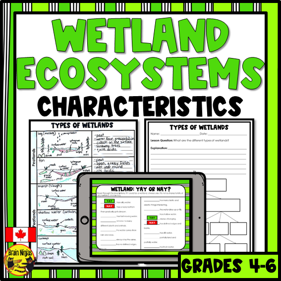 Wetlands Descriptions, Characteristics and Types | Paper and Digital