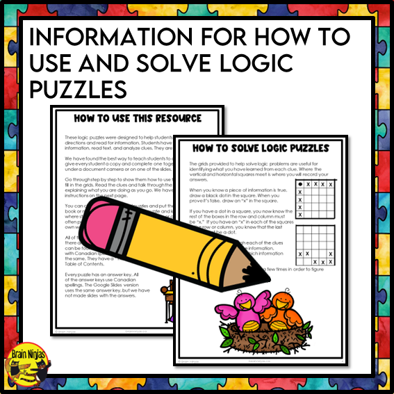 Logic Puzzles Bundle | Paper and Digital