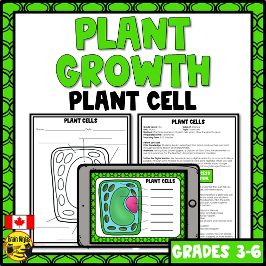 Free Plant Cells Lesson | Paper and Digital