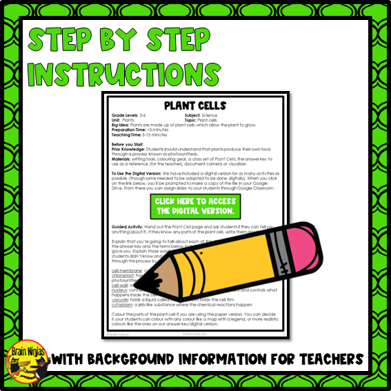 Free Plant Cells Lesson | Paper and Digital