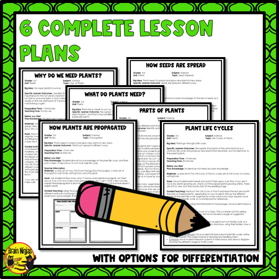 Plant Growth and Changes | Lessons | Paper and Digital