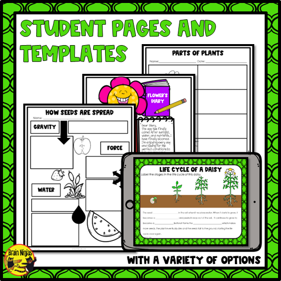 Plant Growth and Changes | Lessons | Paper and Digital