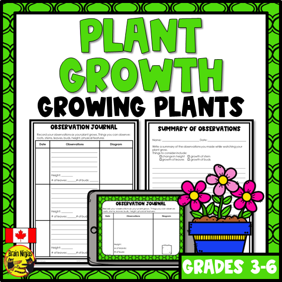 Plant Growth and Changes | Observation Journal | Paper and Digital