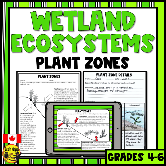 Wetlands Plant and Pond Zones | Paper and Digital