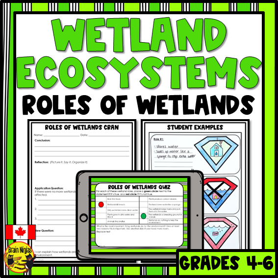 Wetlands | Importance and Roles | Paper and Digital