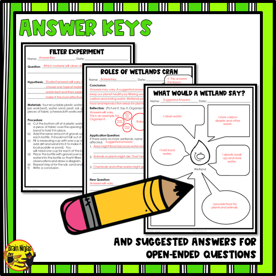 Wetlands | Importance and Roles | Paper and Digital