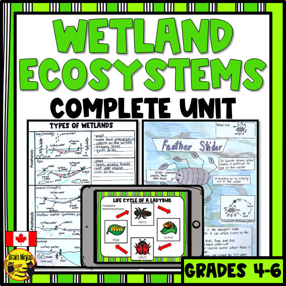 Wetlands Unit Lessons and Activities Bundle | Paper and Digital