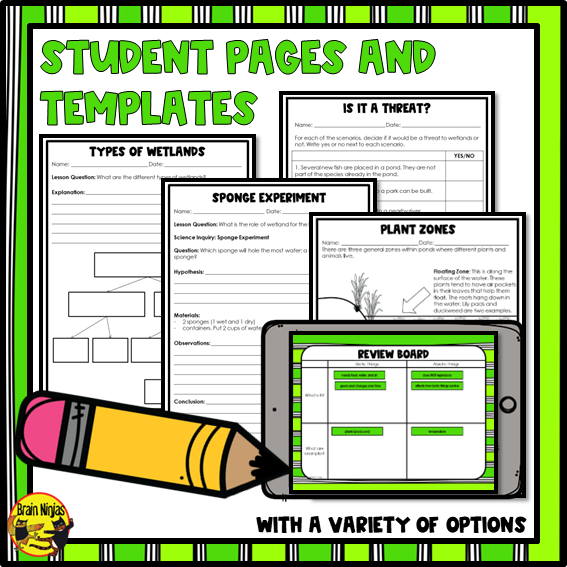 Wetlands Unit Lessons and Activities Bundle | Paper and Digital