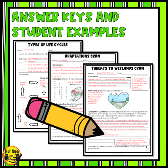 Wetlands Unit Lessons and Activities Bundle | Paper and Digital