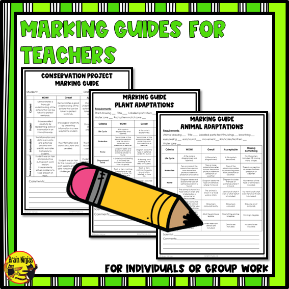 Wetlands Unit Lessons and Activities Bundle | Paper and Digital