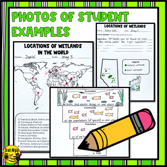 Wetlands Ecosystems Around the World | Paper and Digital
