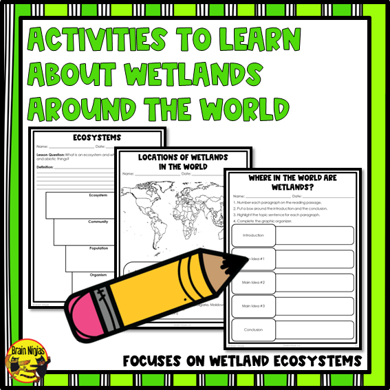Wetlands Ecosystems Around the World | Paper and Digital
