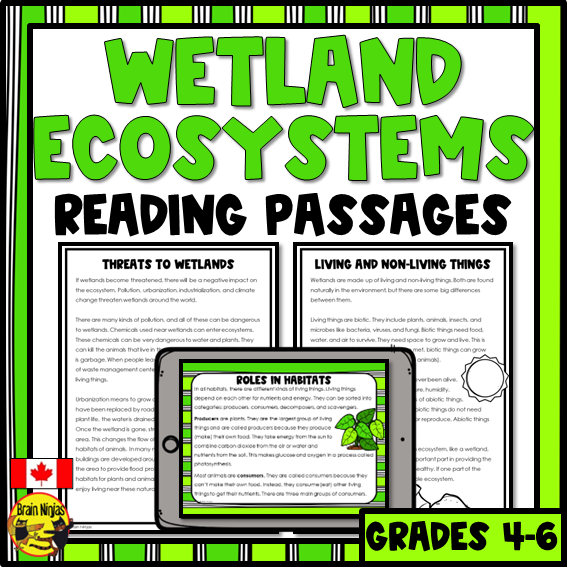 Wetlands Reading Passages | Paper and Digital